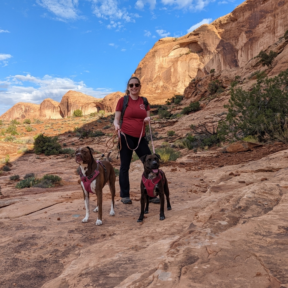 Meet your Posher, Amelia